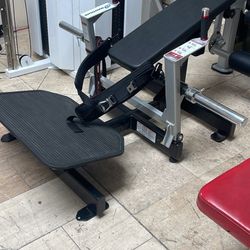 Nautilus Glute Drive Workout Exercise Machine Equipment 