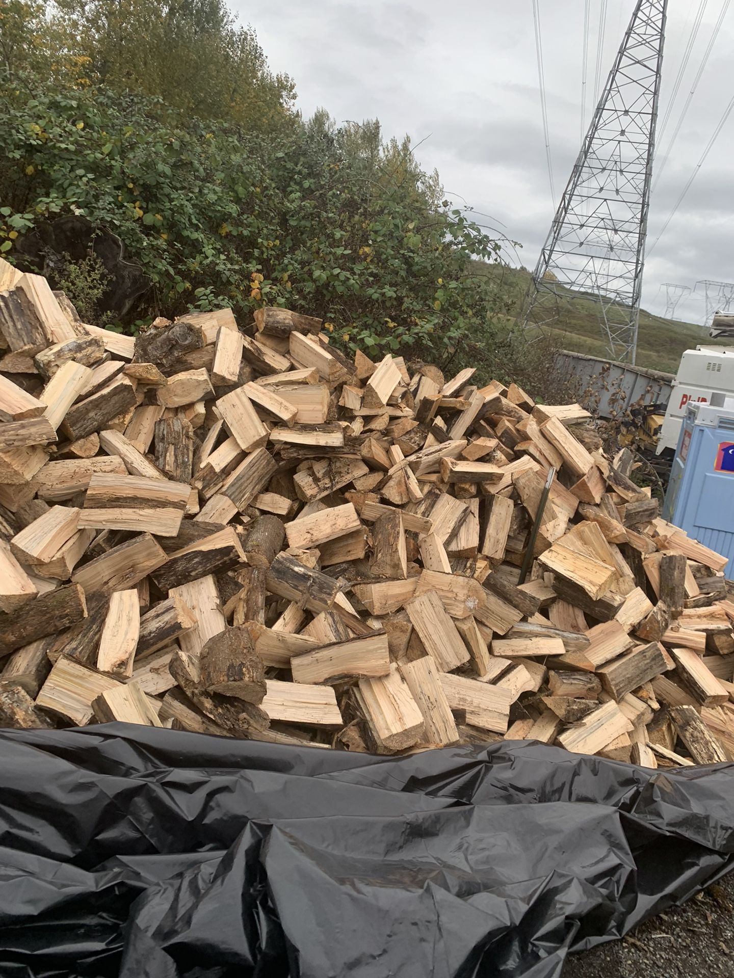 Bundles Of Dry-Seasoned Maple (Ask About Delivery)