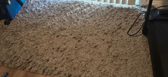 Tuape Shag Area Rug