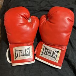 EverLast Boxing gloves