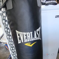 Everlast 80lbs Super Duty Punching Bag