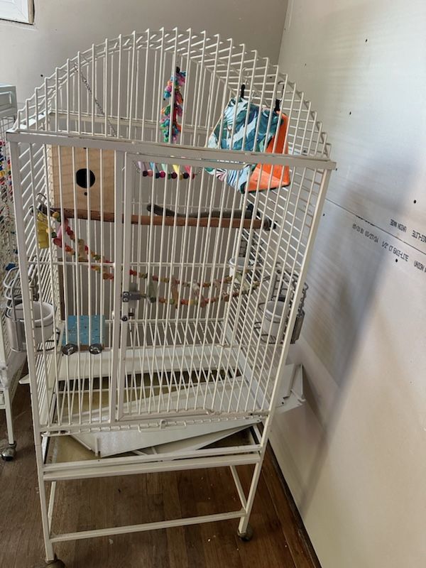 Bird Cage