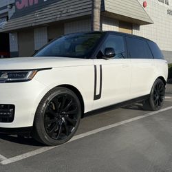 Tint For Sale