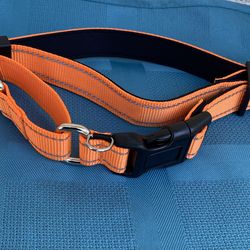 Reflective Martingale Dog Collar L