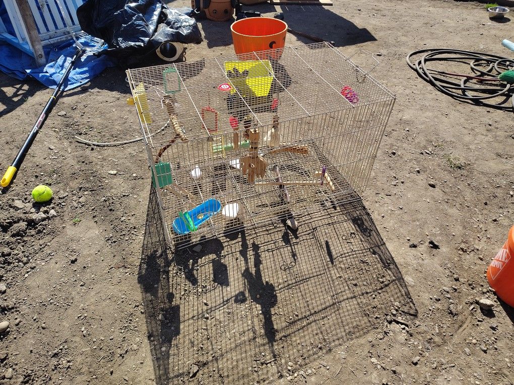 Two Bird Cages For The Price Of One