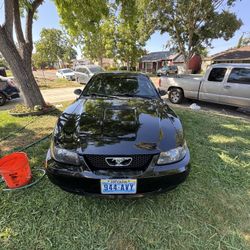 1999 Ford Mustang