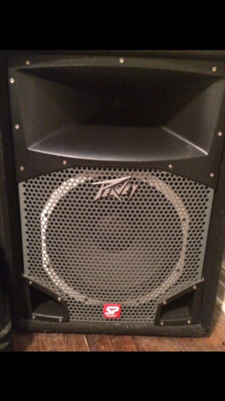 2 Peavey SP5 Speakers w/15inch woofers & 1 QSC-850 Amp