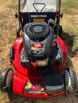 Toro