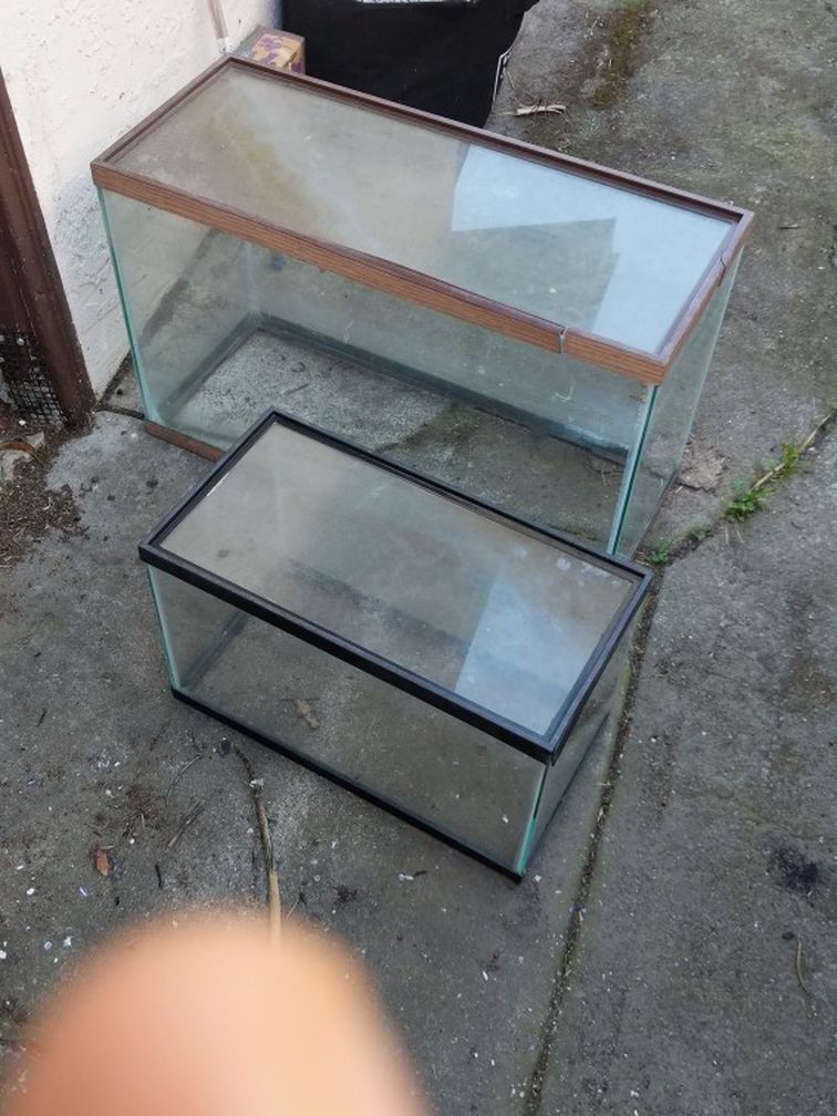 Glass Tanks For Pet