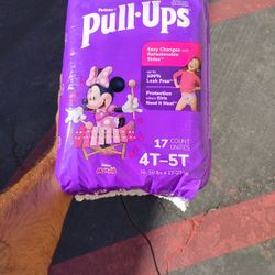 Pullups 17 Count