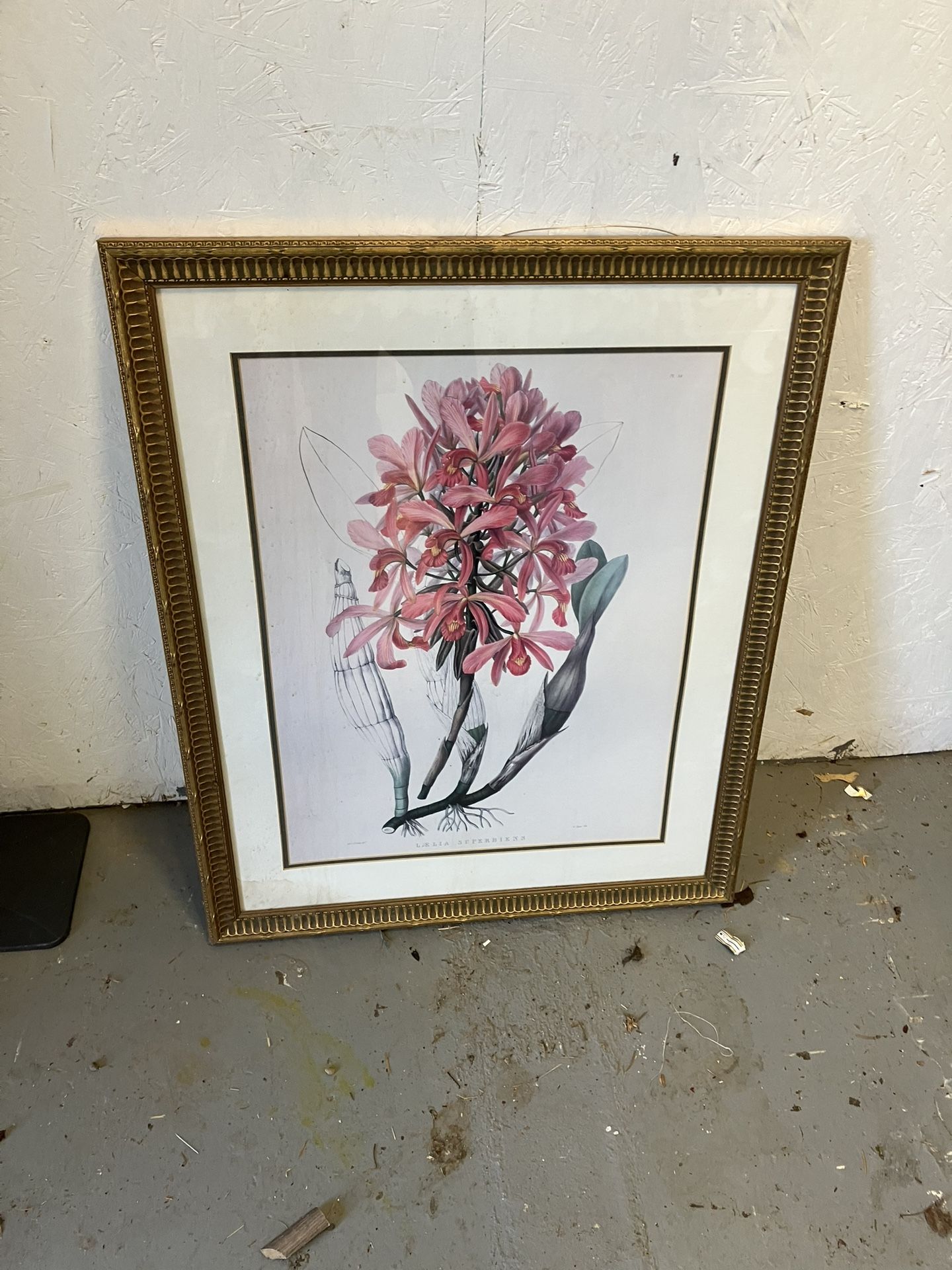 Floral Pictures In Frame
