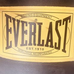 EVERLAST PUNCHING BAG