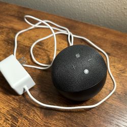 Echo Dot