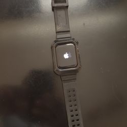 Apple Watch SE 44mm
