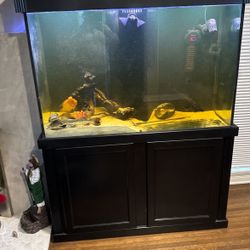 Fish Tank For Sale