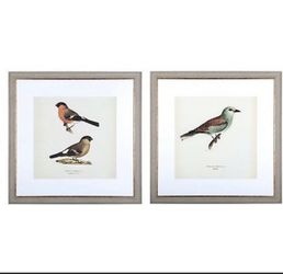 Bee & Willow™ Birds 30-Inch x 30-Inch Framed Wall Art (Set of 2)