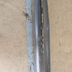 Softball Bat, Fast Pitch 