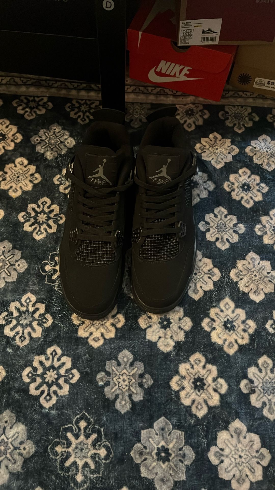 Black Cat 4