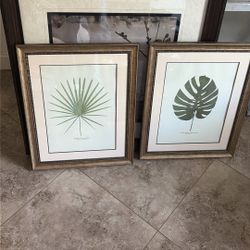 Plant Prints Matched Set