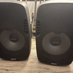 Gemini Guitar speakers 