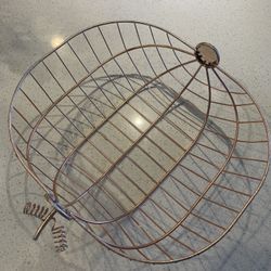 Fruit Basket