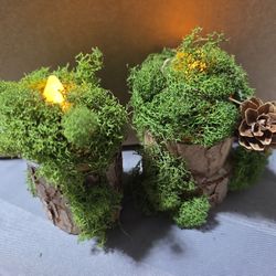 20 Moss Pinecone Votive Candles 
