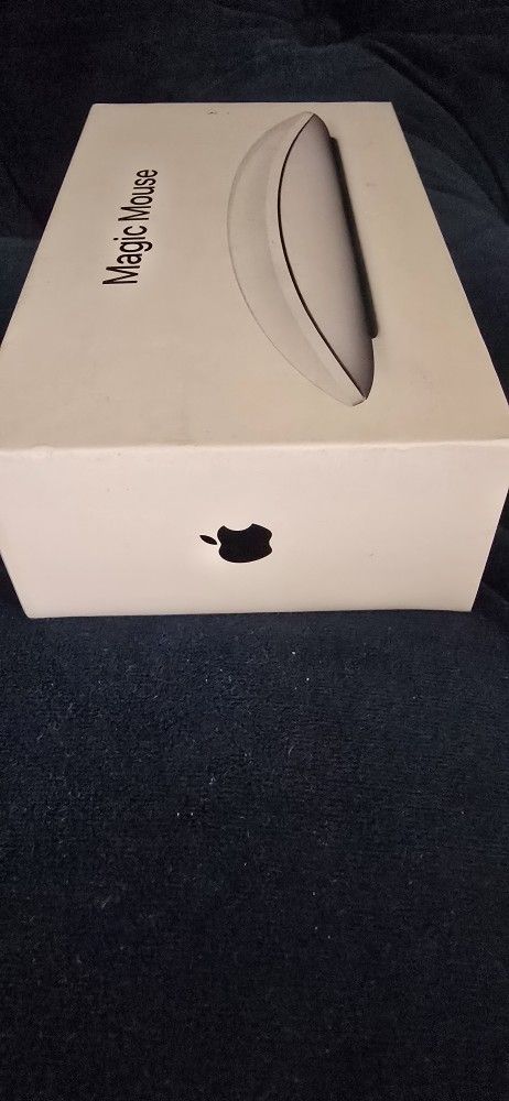 Apple Magic Mouse.