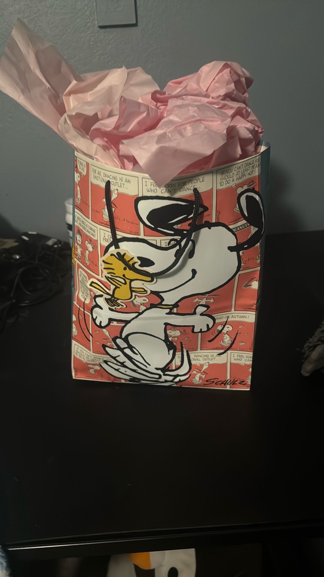 Snoopy Gift Bundle  Games