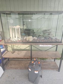 Acuario ,Corona de cristo ,amazon, quaker y cama
