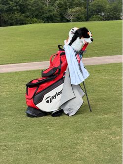 TaylorMade Stealth Stand Bag — Red/White/Black
