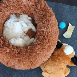 Bedsure calming dog or cat bed in copper