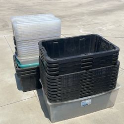 Container
