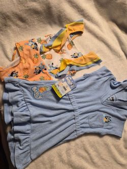 4T - Minnie / Bluey swimsuit