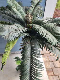 2 Large Artifical Palm Trees($50Each Both For$80)