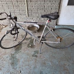 Schwinn Varsity 14 Speed