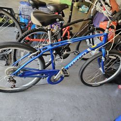 Vintage.  Giant Beach cruiser 
