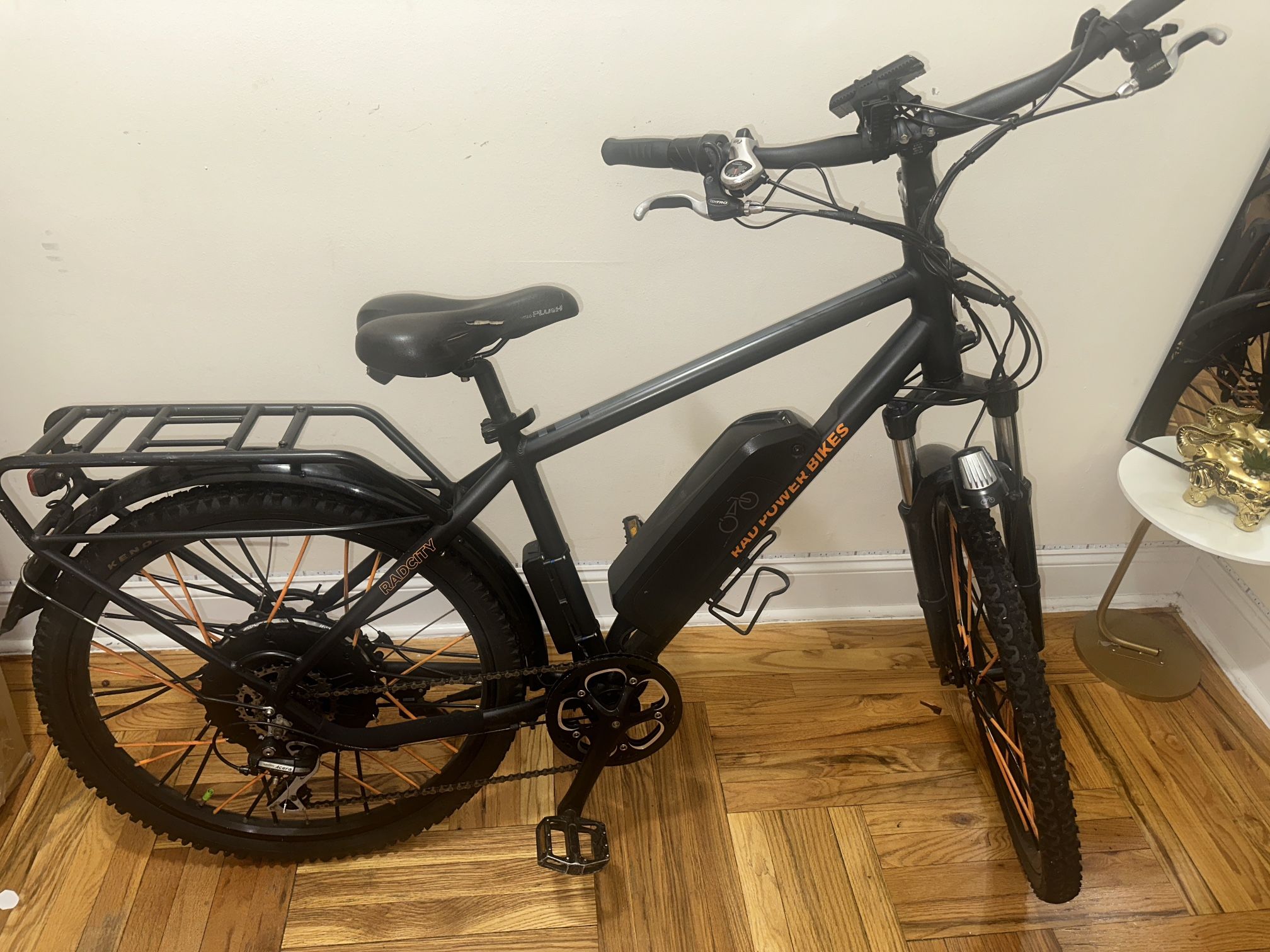 Rad power E-Bike