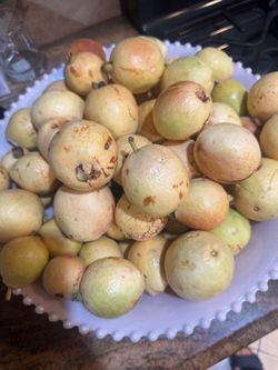 Organic guava