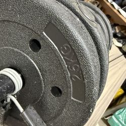 Weights 