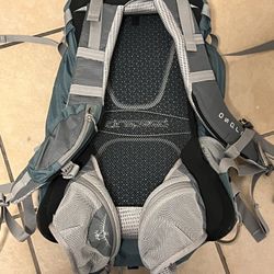 Osprey Surris 24 Backpack 