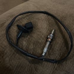 Oxygen Sensor