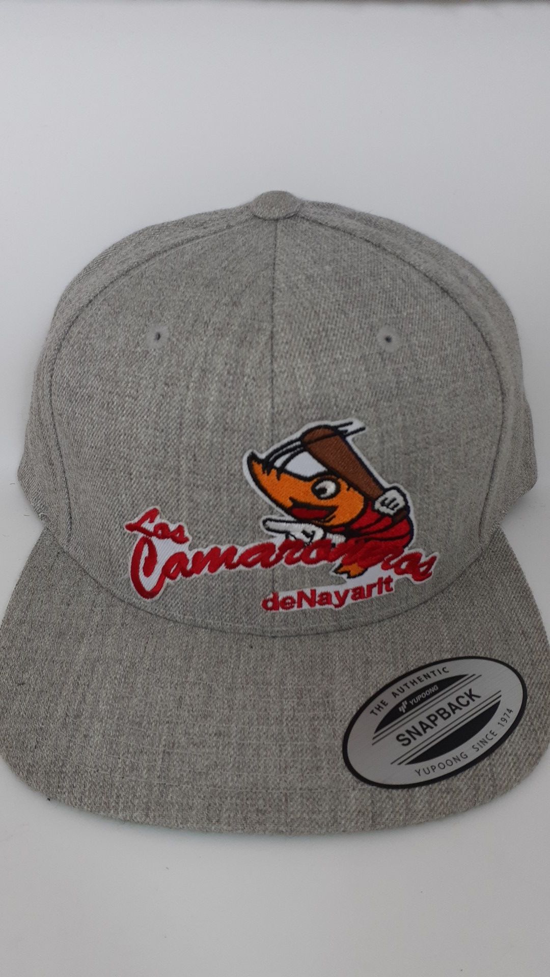 Gorras ๐งข de Nayarit Mexico ๐ฒ๐ฝ snapback hats