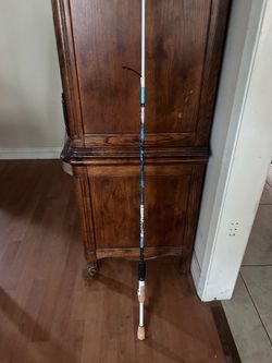 Profishency Spinning Rod