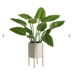 Large Gray Planter with Brass Stand