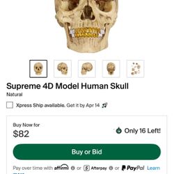 Supreme 3D Skull