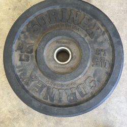 Two 45 Pound Weights 