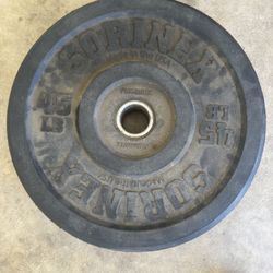 Two 45 Pound Weights 