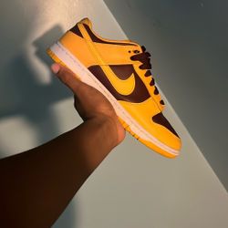 Arizona State Dunks 