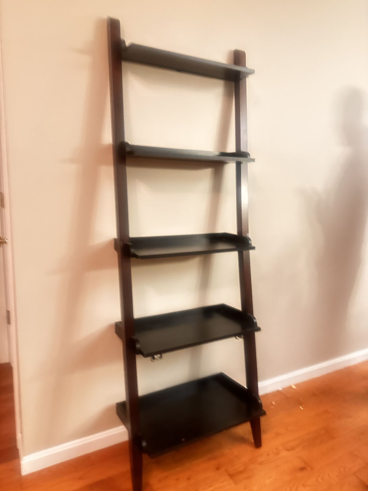 Bookcase Ladder Shelf