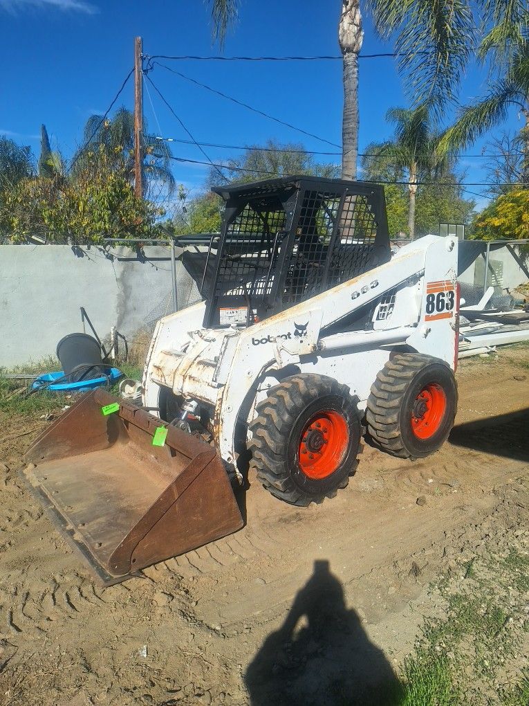 Bobcat 